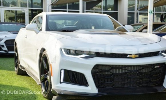 Buy Import Chevrolet Camaro White Car in Import - Dubai in Dhufar Buy Import Chevrolet Camaro White Car in Import - Dubai in Dhufar