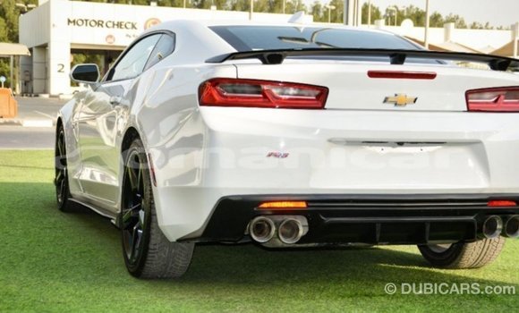 Buy Import Chevrolet Camaro White Car in Import - Dubai in Dhufar Buy Import Chevrolet Camaro White Car in Import - Dubai in Dhufar