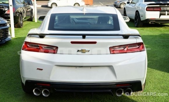 Buy Import Chevrolet Camaro White Car in Import - Dubai in Dhufar Buy Import Chevrolet Camaro White Car in Import - Dubai in Dhufar