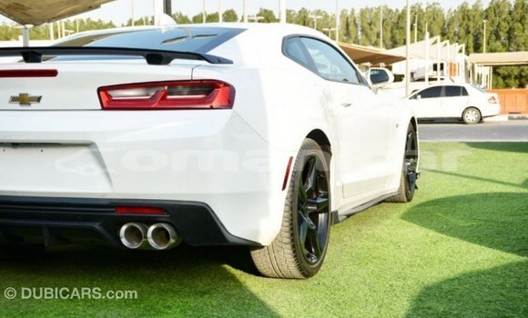 Buy Import Chevrolet Camaro White Car in Import - Dubai in Dhufar Buy Import Chevrolet Camaro White Car in Import - Dubai in Dhufar