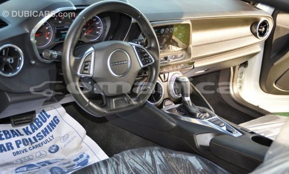 Buy Import Chevrolet Camaro White Car in Import - Dubai in Dhufar Buy Import Chevrolet Camaro White Car in Import - Dubai in Dhufar