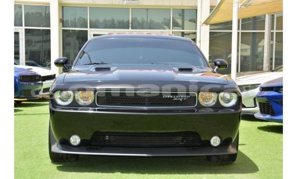 Buy Import Dodge Challenger Black Car in Import - Dubai in Dhufar