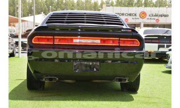 Buy Import Dodge Challenger Black Car in Import - Dubai in Dhufar Buy Import Dodge Challenger Black Car in Import - Dubai in Dhufar