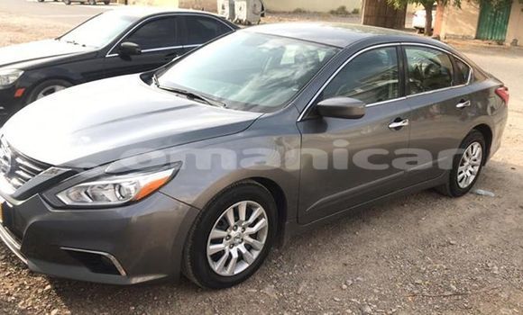Buy Used Nissan Altima Other Car in Muscat in Masqat Buy Used Nissan Altima Other Car in Muscat in Masqat