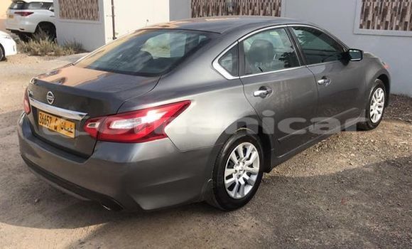 Buy Used Nissan Altima Other Car in Muscat in Masqat Buy Used Nissan Altima Other Car in Muscat in Masqat