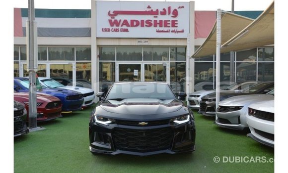 Buy Import Chevrolet Camaro Black Car in Import - Dubai in Dhufar Buy Import Chevrolet Camaro Black Car in Import - Dubai in Dhufar