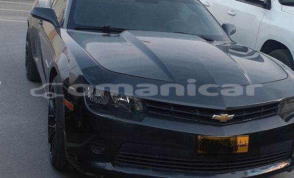 Buy Import Chevrolet Camaro Other Car in Muscat in Masqat