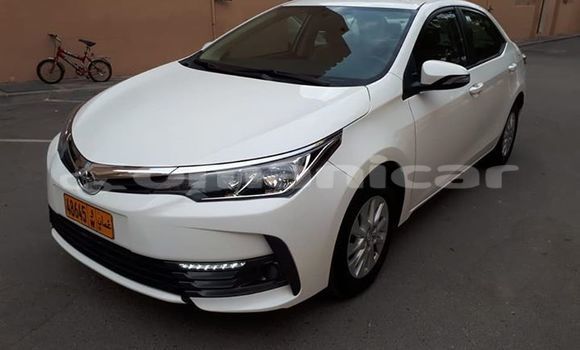 Buy Used Toyota Corolla White Car in Muscat in Masqat Buy Used Toyota Corolla White Car in Muscat in Masqat