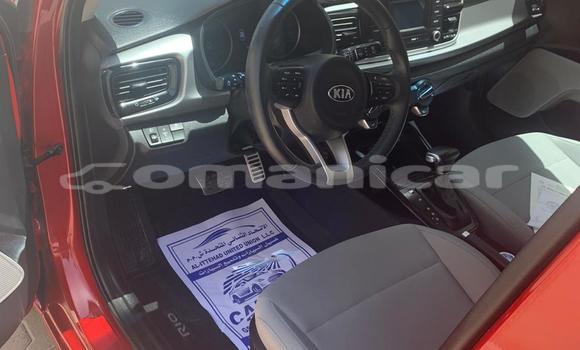 Buy Used Kia Rio Red Car in Muscat in Masqat Buy Used Kia Rio Red Car in Muscat in Masqat