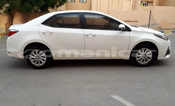 Buy Used Toyota Corolla White Car in Muscat in Masqat Buy Used Toyota Corolla White Car in Muscat in Masqat