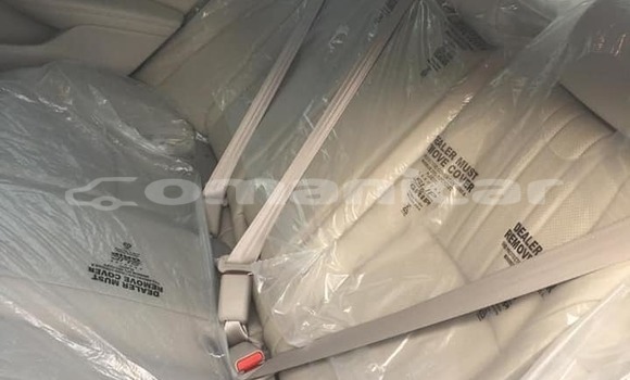 Buy Used Honda Accord Brown Car in Muscat in Masqat Buy Used Honda Accord Brown Car in Muscat in Masqat