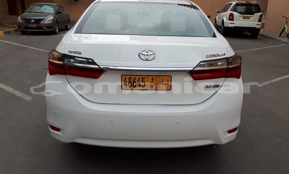 Buy Used Toyota Corolla White Car in Muscat in Masqat Buy Used Toyota Corolla White Car in Muscat in Masqat