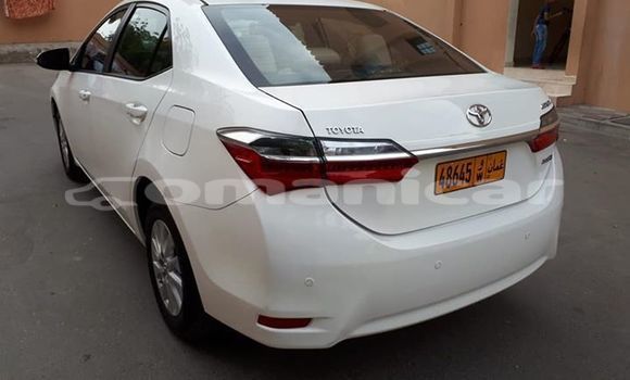 Buy Used Toyota Corolla White Car in Muscat in Masqat Buy Used Toyota Corolla White Car in Muscat in Masqat