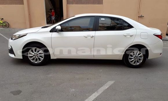 Buy Used Toyota Corolla White Car in Muscat in Masqat Buy Used Toyota Corolla White Car in Muscat in Masqat
