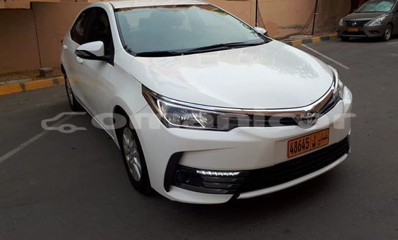 Buy Used Toyota Corolla White Car in Muscat in Masqat Buy Used Toyota Corolla White Car in Muscat in Masqat