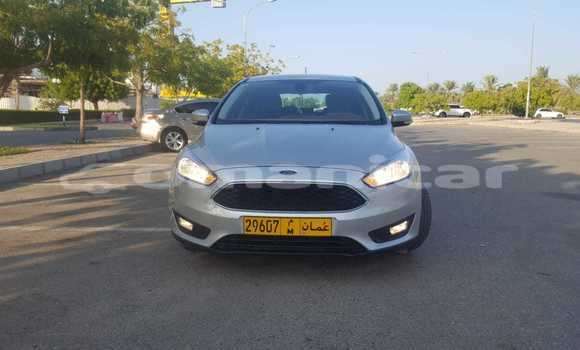Buy Used Ford Focus Silver Car in Masqat in Masqat Buy Used Ford Focus Silver Car in Masqat in Masqat