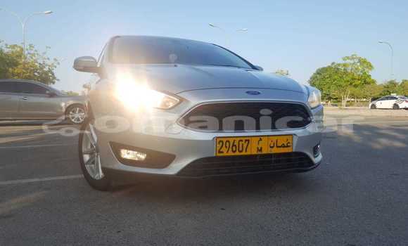 Buy Used Ford Focus Silver Car in Masqat in Masqat Buy Used Ford Focus Silver Car in Masqat in Masqat