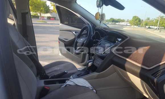 Buy Used Ford Focus Silver Car in Masqat in Masqat Buy Used Ford Focus Silver Car in Masqat in Masqat