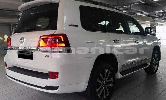 Buy Used Toyota Land Cruiser White Car in al–Khaburah in al-Batinah Buy Used Toyota Land Cruiser White Car in al–Khaburah in al-Batinah