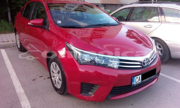 Buy Used Toyota Corolla Other Car in Muscat in Masqat Buy Used Toyota Corolla Other Car in Muscat in Masqat