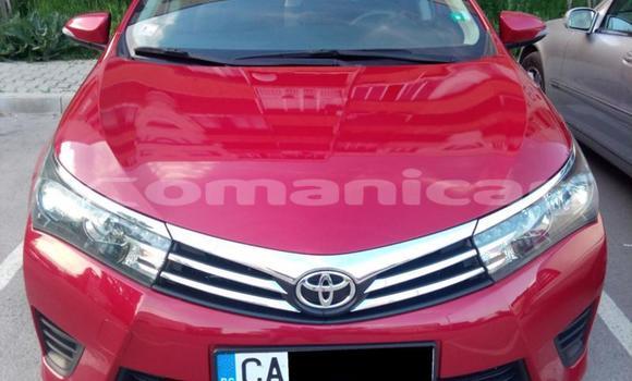 Buy Used Toyota Corolla Other Car in Muscat in Masqat Buy Used Toyota Corolla Other Car in Muscat in Masqat