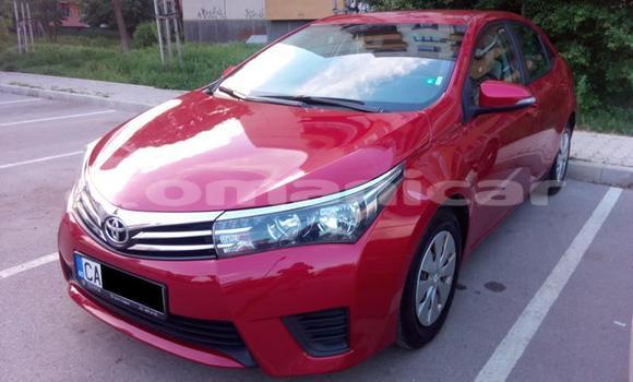 Buy Used Toyota Corolla Other Car in Muscat in Masqat Buy Used Toyota Corolla Other Car in Muscat in Masqat