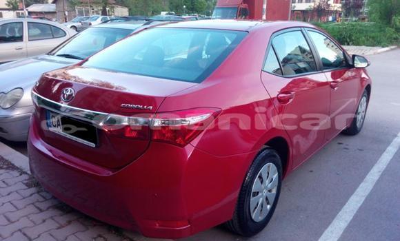 Buy Used Toyota Corolla Other Car in Muscat in Masqat Buy Used Toyota Corolla Other Car in Muscat in Masqat
