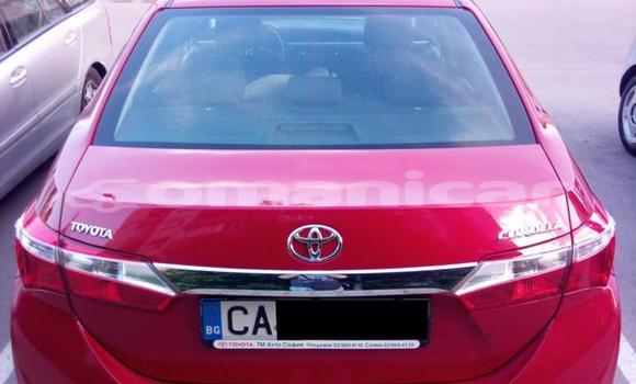 Buy Used Toyota Corolla Other Car in Muscat in Masqat Buy Used Toyota Corolla Other Car in Muscat in Masqat
