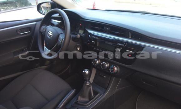 Buy Used Toyota Corolla Other Car in Muscat in Masqat Buy Used Toyota Corolla Other Car in Muscat in Masqat