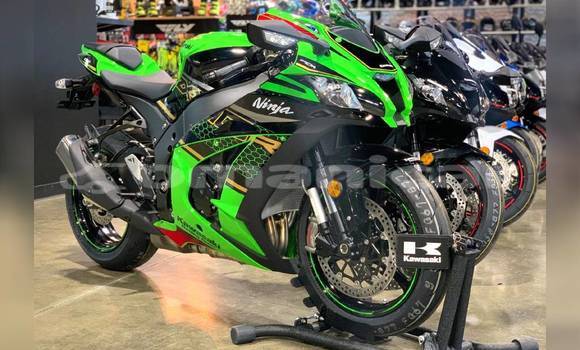 Buy Used Kawasaki Ninja Other Bike in Muscat in Masqat Buy Used Kawasaki Ninja Other Bike in Muscat in Masqat