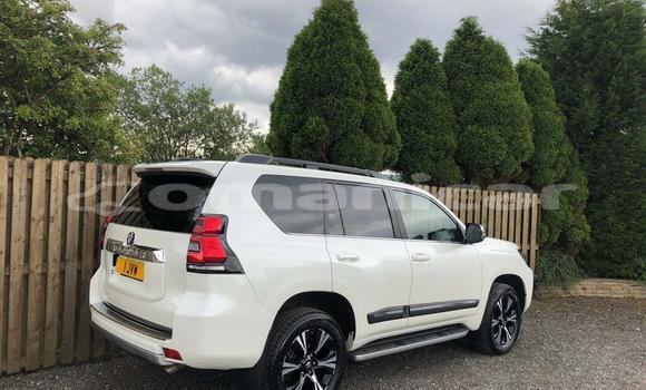 Buy Used Toyota Land Cruiser Other Car in Muscat in Masqat Buy Used Toyota Land Cruiser Other Car in Muscat in Masqat