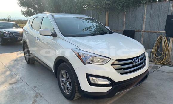 Buy Used Hyundai Santa Fe Other Car in Muscat in Masqat Buy Used Hyundai Santa Fe Other Car in Muscat in Masqat