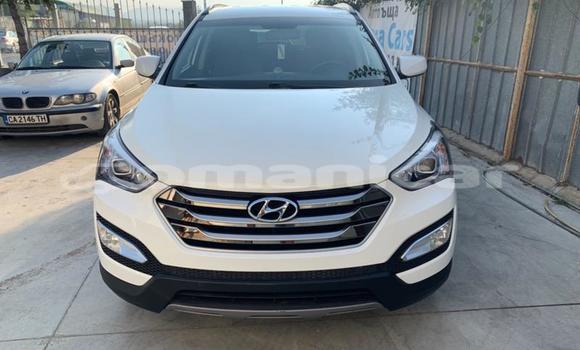 Buy Used Hyundai Santa Fe Other Car in Muscat in Masqat Buy Used Hyundai Santa Fe Other Car in Muscat in Masqat