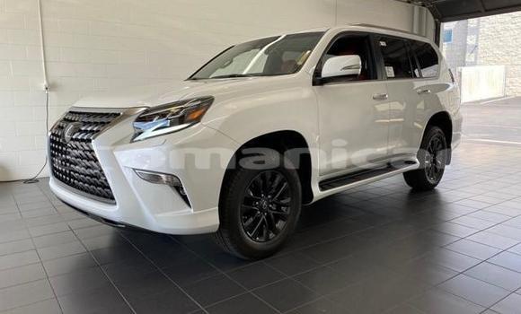 Buy Used Lexus GX White Car in Muscat in Masqat Buy Used Lexus GX White Car in Muscat in Masqat