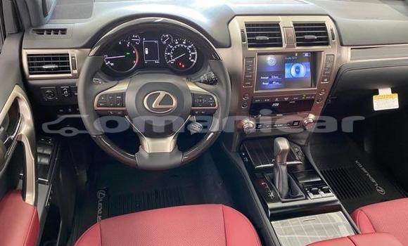 Buy Used Lexus GX White Car in Muscat in Masqat Buy Used Lexus GX White Car in Muscat in Masqat