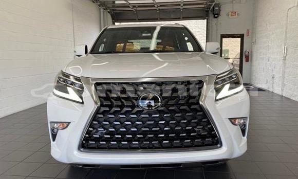 Buy Used Lexus GX White Car in Muscat in Masqat Buy Used Lexus GX White Car in Muscat in Masqat