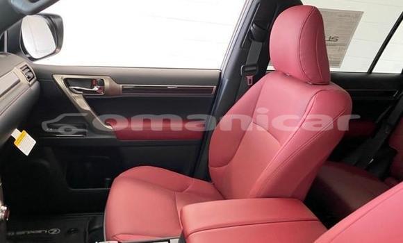 Buy Used Lexus GX White Car in Muscat in Masqat Buy Used Lexus GX White Car in Muscat in Masqat