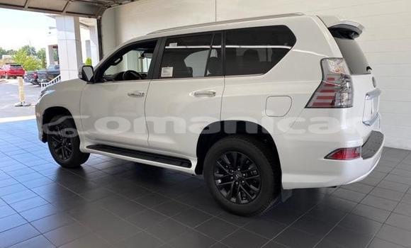 Buy Used Lexus GX White Car in Muscat in Masqat Buy Used Lexus GX White Car in Muscat in Masqat
