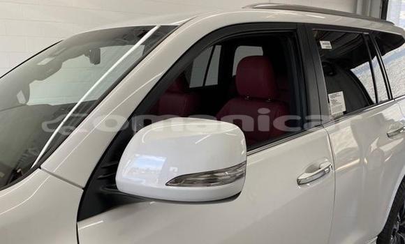 Buy Used Lexus GX White Car in Muscat in Masqat Buy Used Lexus GX White Car in Muscat in Masqat