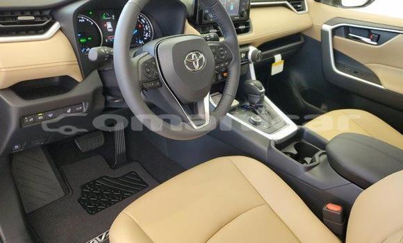 Buy Used Toyota RAV4 Other Car in Muscat in Masqat Buy Used Toyota RAV4 Other Car in Muscat in Masqat