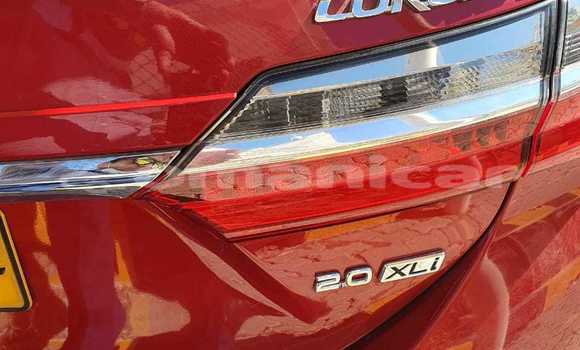 Buy Used Toyota Corolla Red Car in Muscat in Masqat Buy Used Toyota Corolla Red Car in Muscat in Masqat