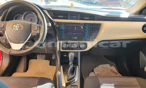 Buy Used Toyota Corolla Red Car in Muscat in Masqat Buy Used Toyota Corolla Red Car in Muscat in Masqat