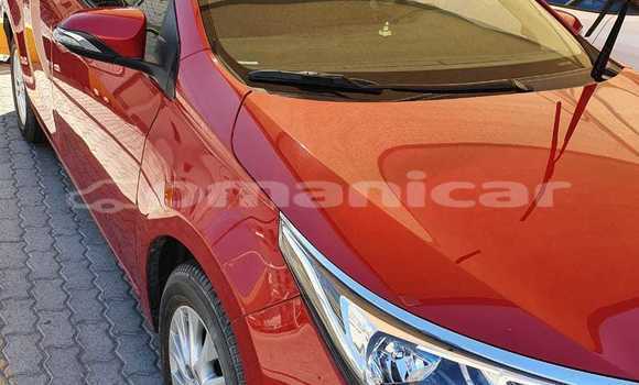 Buy Used Toyota Corolla Red Car in Muscat in Masqat Buy Used Toyota Corolla Red Car in Muscat in Masqat