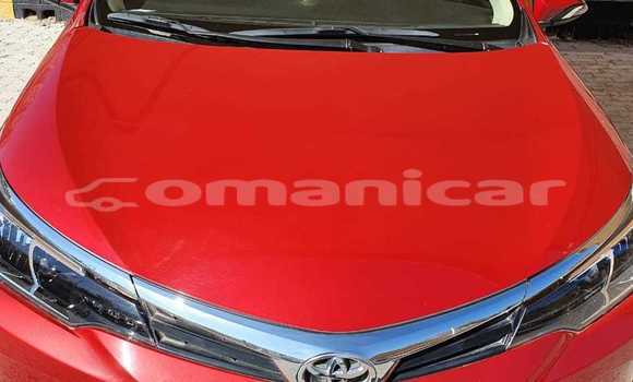 Buy Used Toyota Corolla Red Car in Muscat in Masqat Buy Used Toyota Corolla Red Car in Muscat in Masqat