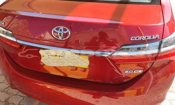 Buy Used Toyota Corolla Red Car in Muscat in Masqat Buy Used Toyota Corolla Red Car in Muscat in Masqat