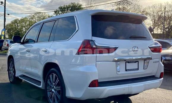 Buy Used Lexus LX 570 White Car in Muscat in Masqat Buy Used Lexus LX 570 White Car in Muscat in Masqat