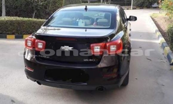Buy Used Chevrolet Malibu Black Car in Muscat in Masqat Buy Used Chevrolet Malibu Black Car in Muscat in Masqat