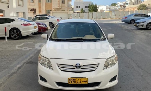 Buy Used Toyota Corolla White Car in al–Buraymi in adh-Dhahirah Buy Used Toyota Corolla White Car in al–Buraymi in adh-Dhahirah