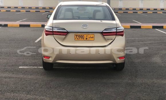 Buy Used Toyota Corolla Brown Car in al–Buraymi in adh-Dhahirah Buy Used Toyota Corolla Brown Car in al–Buraymi in adh-Dhahirah