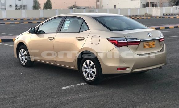 Buy Used Toyota Corolla Brown Car in al–Buraymi in adh-Dhahirah Buy Used Toyota Corolla Brown Car in al–Buraymi in adh-Dhahirah
